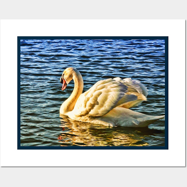 Swan wading on water in sunshine Wall Art by Blue Butterfly Designs 